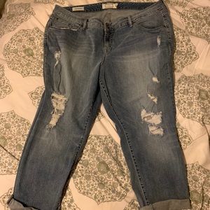 Distressed Torrid crop Jeans 22